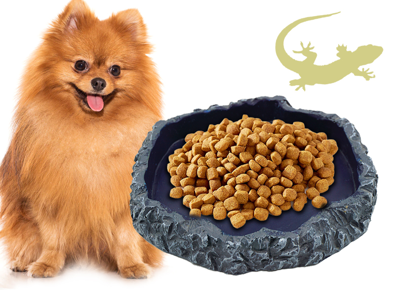 Pet feeder bowl 01